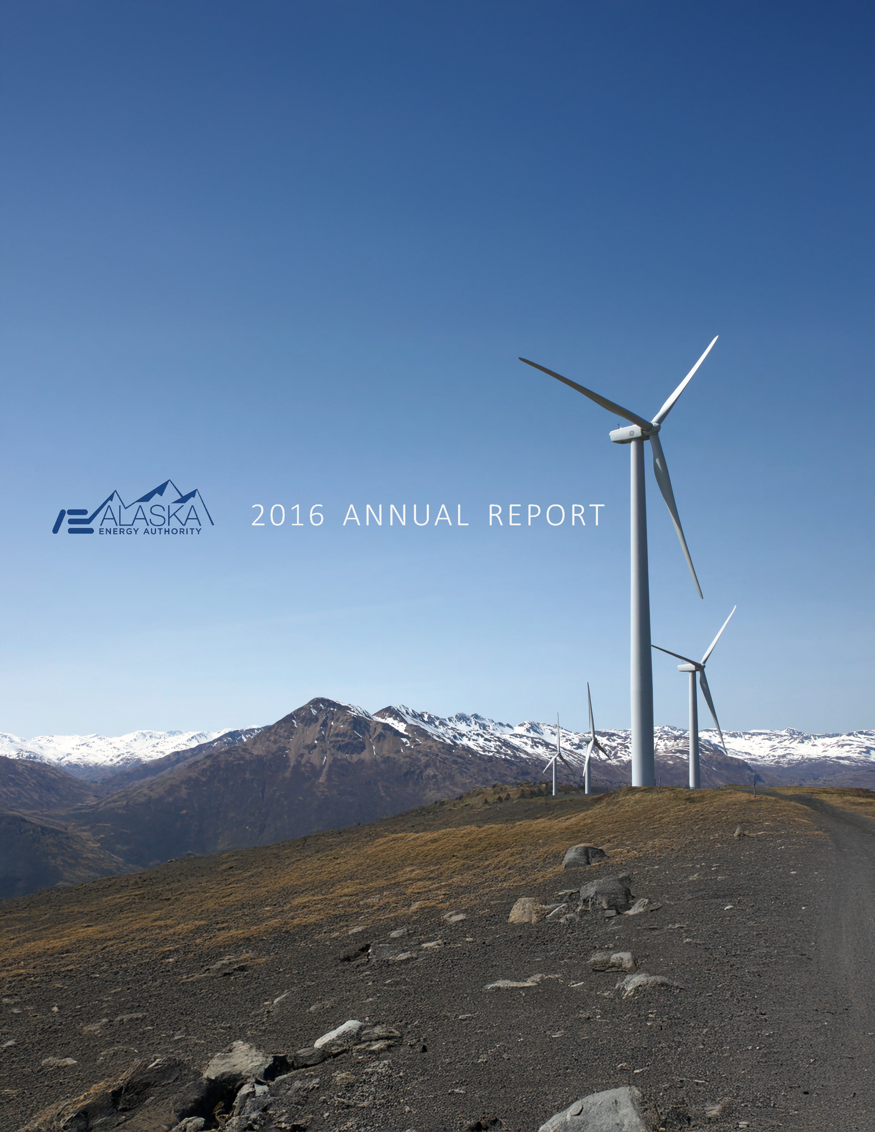 2016 AEA Annual Report cover